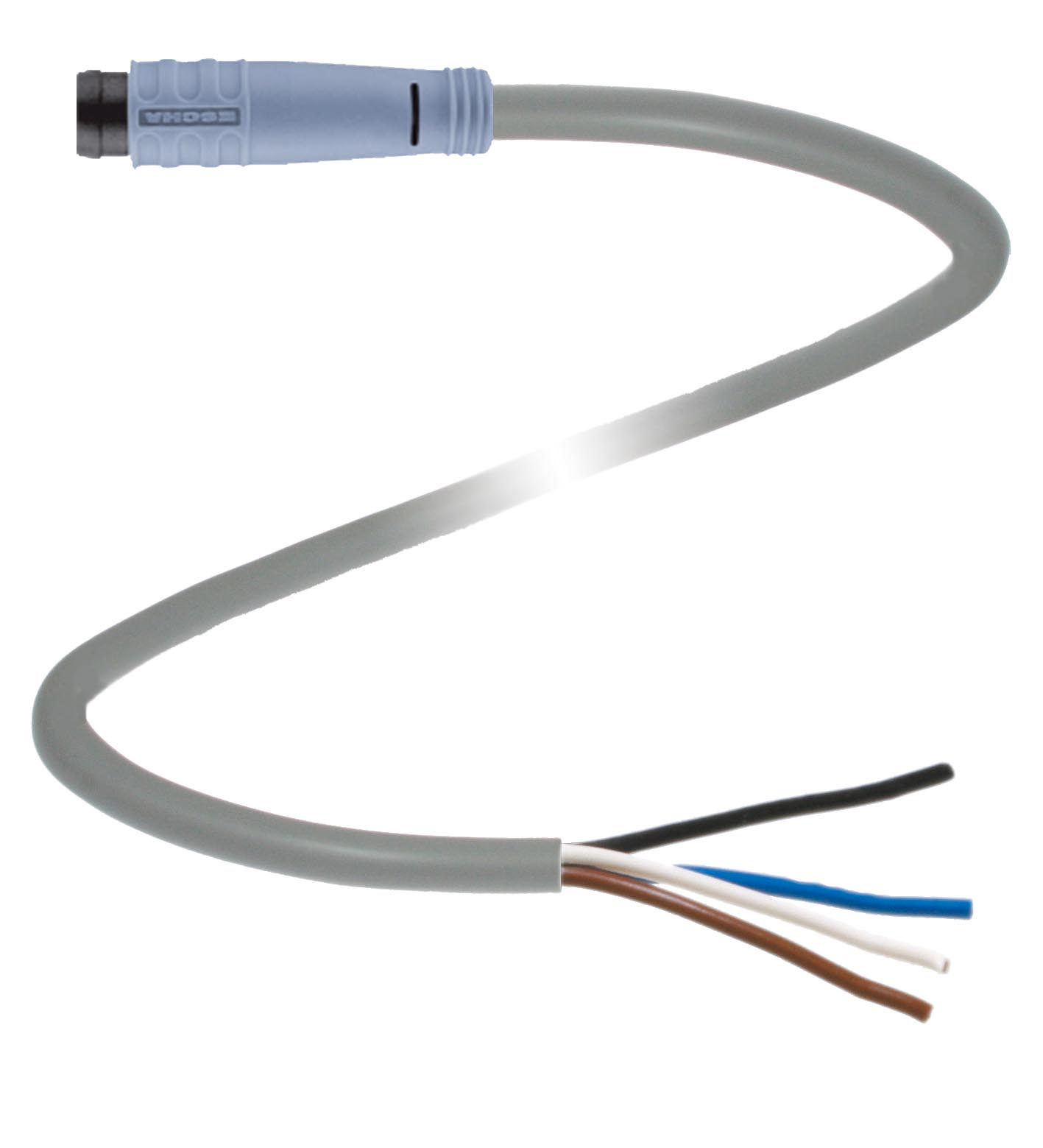 temp131595BLUTHAniQetzn ML29 Kupplungsdose 6m 4polig